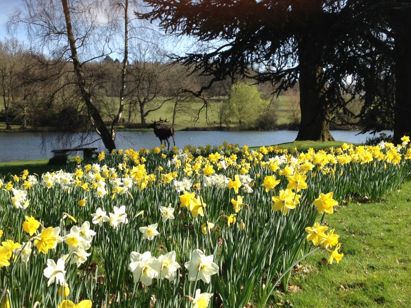 Burghley House Private South Gardens